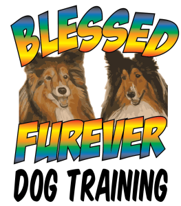 Blessed Furever Dog Training Huntington WV